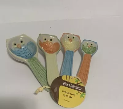 Pier 1 Ceramic Colorful Owl Measuring Spoon Set Ceramic Measure Spoons Owl Decor • $14.99