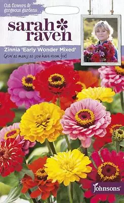 Zinnia Early Wonder Mixed  150 Fresh Seeds    Zinnia Seeds    Flower Seeds • £2.85