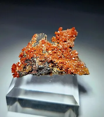 ***GREAT- Red Vanadinite Crystals & Fluorescent Fluorite Matrix Mine Arizona*** • $33