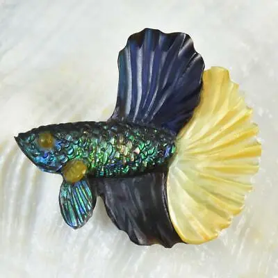 Siamese Fighting Fish Betta Iridescent Multicolor Shell Carving 3.07g Drilled • $39.95