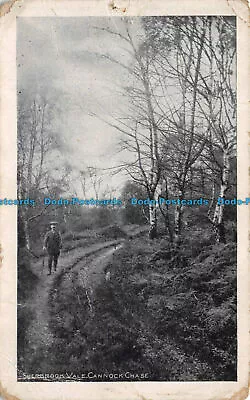 £6.85 • Buy R139534 Sherbrook Vale. Cannock Chase. T. H. Pemberton