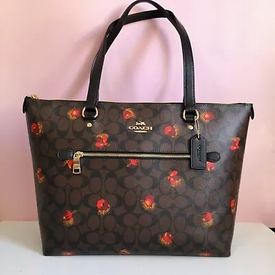 Nwt Coach Gallery Tote In Signature Canvas With Pop Floral Print C5803 $350 • $159