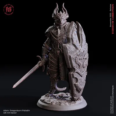 Dragonborn Paladin Knight Fighter Miniature 28mm 32mm Dungeon Dragons D&D RPG • $11.99