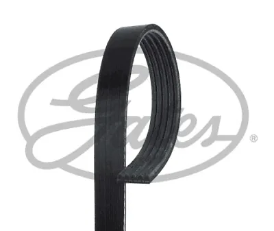 Gates 5pk875 Wedge Rib Strap For Alfa Romeo Honda Mitsubishi Subaru • £15.88