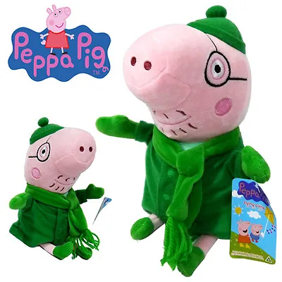 1pc Cute 25cm Daddy Pig Winter Peppa Kids Baby Soft Plush Toy Doll Bear • $14.95