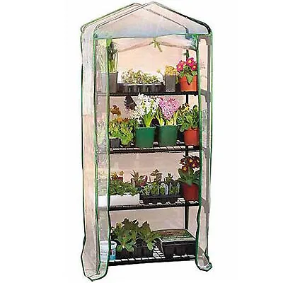 4 Shelves Tier Greenhouse Green House Grow Cold Frame & Cover Plants  Flowers • £17.99
