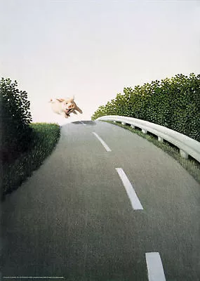 Highway Autobahn Pig By Michael Sowa Art Print Running Road Poster 27.5x19.5 • $39.95