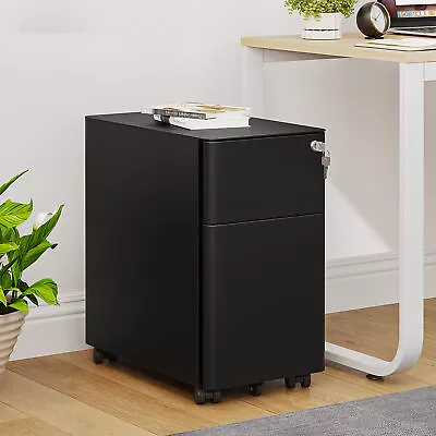 2-Drawer Lockable File Cabinet Wide Lateral Mobile Steel File Cabinet For Office • $97.36