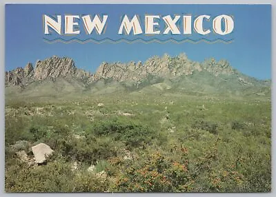 Organ Mountains New Mexico~View Across Mesilla Valley~Continental Postcard • $2.70
