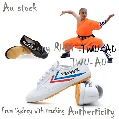 Feiyue Kung Fu Martial Arts Wushu Tai Chi Shao Lin Training Shoes AU Seller • $9.95