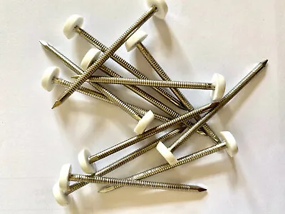 £3.39 • Buy 20 X 65mm White UPVC Plastic Headed Pins Nails Poly Top A4 Stainless Steel