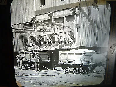 1895 Shenandoah Pennsylvania Coal Mine Miners Philadelphia PHOTO Magic Lantern • $17