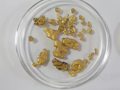 Genuine Gold Nuggets 1.022 Grams Raw And Unaltered • $74