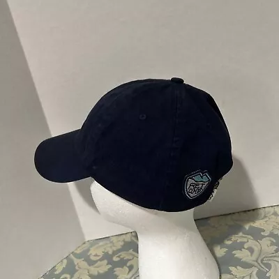 REI Cap Hat Adjustable Hiking Outdoors Navy Blue 100% Cotton • $11.02