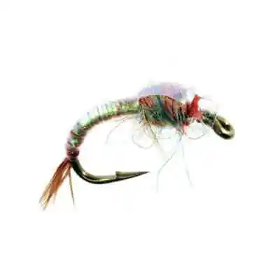 Tungsten Rainbow Warrior Midge Nymph Size #16 #18 #20 - Price Per Fly • $1.52