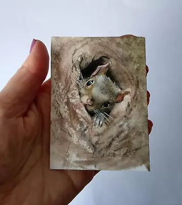 Original Not A Print ACEO Watercolour Miniature Signed. Squirrel  .Collectable. • £8