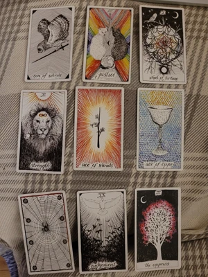 £19 • Buy TAROT READING For Your Past Present Future 9 Cards Spread The Wild Unknown Deck