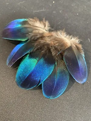 RARE 5pcs Natural Blue Iridescent Peacock Shoulder Feathers 4-5cm DIY Craft • $15.95