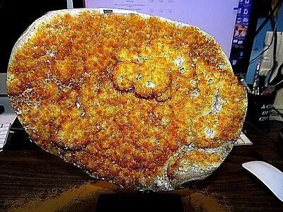 $519.20 • Buy Lg. Polished Citrine Crystal Cluster Geode From Brazil Cathedral W/ Steel Base 