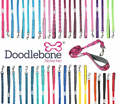 Doodlebone Bold Padded Nylon Dog Puppy Leads 1.2m Long - 3 Widths - Colours • £7.50