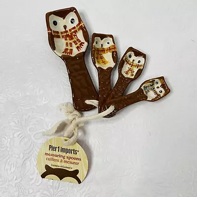 Pier 1 Decorative Set Of 4 Ceramic Measuring Spoons Brown Winter OWL Themed • $14.99