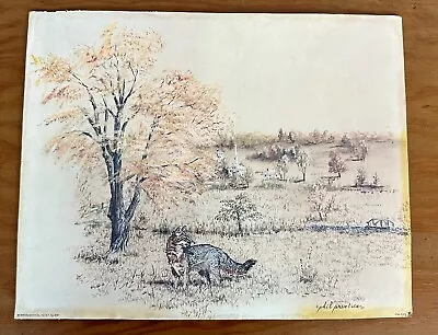 1978 Vintage Grey Fox Signed Phil Prentice Litho Print Donald Art Co New York • $20