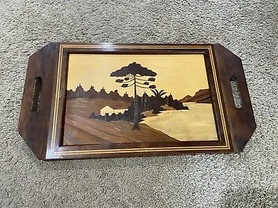 Vintage BONATTO Wood Art Marquetry Inlaid Tree Handled Tray 17” X 9.25” Brazil • $58.77