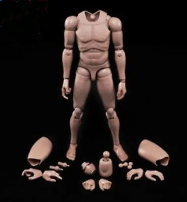 US 12  Europe Skin MX02-A Male Action Figure Body Fit For 1/6 Head Sculpt Toys • $20.99