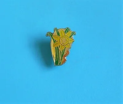 Daffodil Stud Pin Badge Charity...# • £2.99