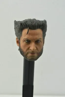 Custom Hot 1/6 Scale Head Sculpt X-Men Days Of Future Past Wolverine 4.0 • £14.99