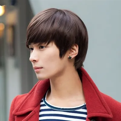 Dark Brown Men Male Short Straight Synthetic Hair Cosplay Party Full Wig • $7.99