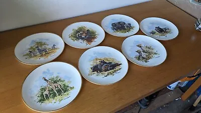 David Shepherd Wildlife Collection Limited Edition Set Of 7 Wedgewood Plates  • £24