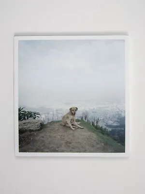 $218.62 • Buy Alec Soth, Dog Days Bogota (Signed & Dated First Edition)