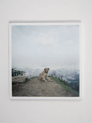 $218.62 • Buy Alec Soth, Dog Days Bogota (Signed & Dated First Edition)