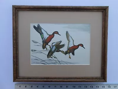 Maynard Reece CINNAMON TEAL 11x14 Framed 5.5 709 • $35