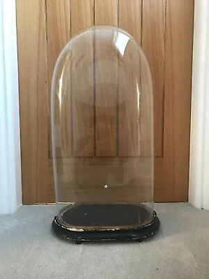 £190 • Buy Large,tall,antique Glass Dome With Ebonised Wooden Base.Skeleton Clock/taxidermy