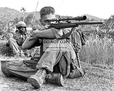 Marine Sniper Surveying Area For Viet Cong - 8x10 Photo (bt575) • $8.87