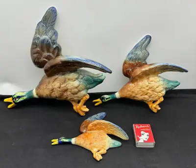 1950's 3 English Sylvac Mallard Wall Mounted Ducks One Restored Neck Crack Glued • £228.93