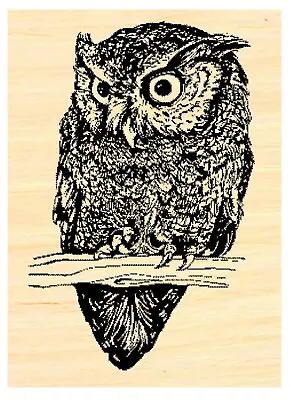 P39 Owl Rubber Stamp WM • $11