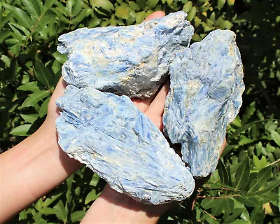 JUMBO Natural Blue Kyanite With Quartz Mica Rough Crystal Specimen (1 - 1.5 Lb) • $26.95