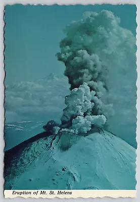 Mount St. Helens WA Eruption Mt. Hood OR In Background 1980 6x4 Vtg Postcard B18 • $9.95