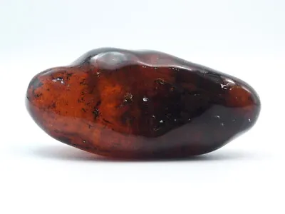 Fully Polished Mexican Amber  • $114