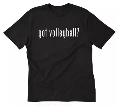 Got Volleyball? T-shirt Funny Tee Shirt Sports Volleyball Shirt Net • $15.06