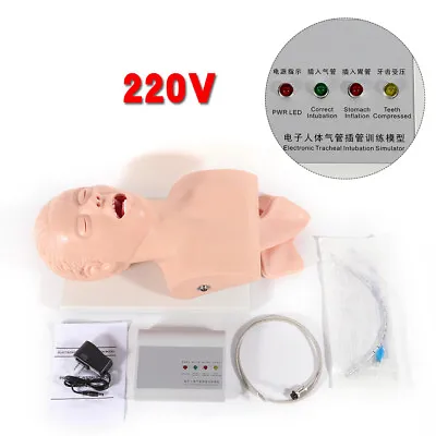 $229 • Buy 220V Intubation Manikin Study Teaching Model Airway Management Trainer Tool  PVC