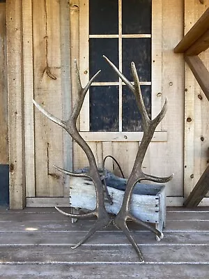 6x6 Set Of Elk Sheds ~Decor ~ Antlers • $259