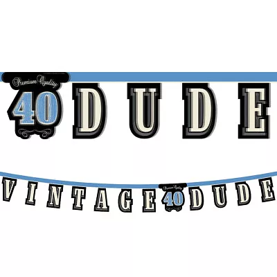 VINTAGE DUDE 40th BIRTHDAY PARTY JOINTED BANNER HANGING DECORATION BLUE GARLAND • $12.50