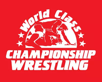 World Class Championship Wrestling Shirt WCCW Dallas Texas Von Erich 80s T-shirt • $5