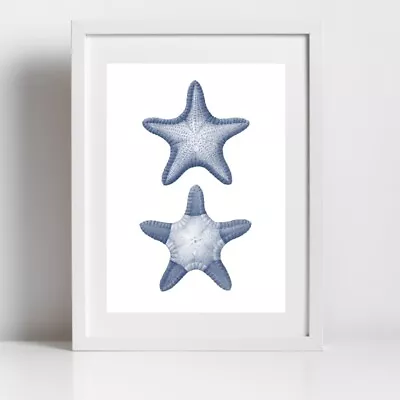 SEASIDE TWO STARFISH Art Print Poster Home Decor Room Nautical Design Beach Wall • £7.99