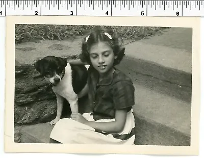 Vintage 1950's DOG Photo / Little Girl Sitting On Steps With Cute Terrier Puppy • $5.33