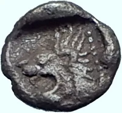 KYZIKOS In MYSIA 525BC Tetartemorion Boar Lion Ancient Silver Greek Coin I41509 • $246.15